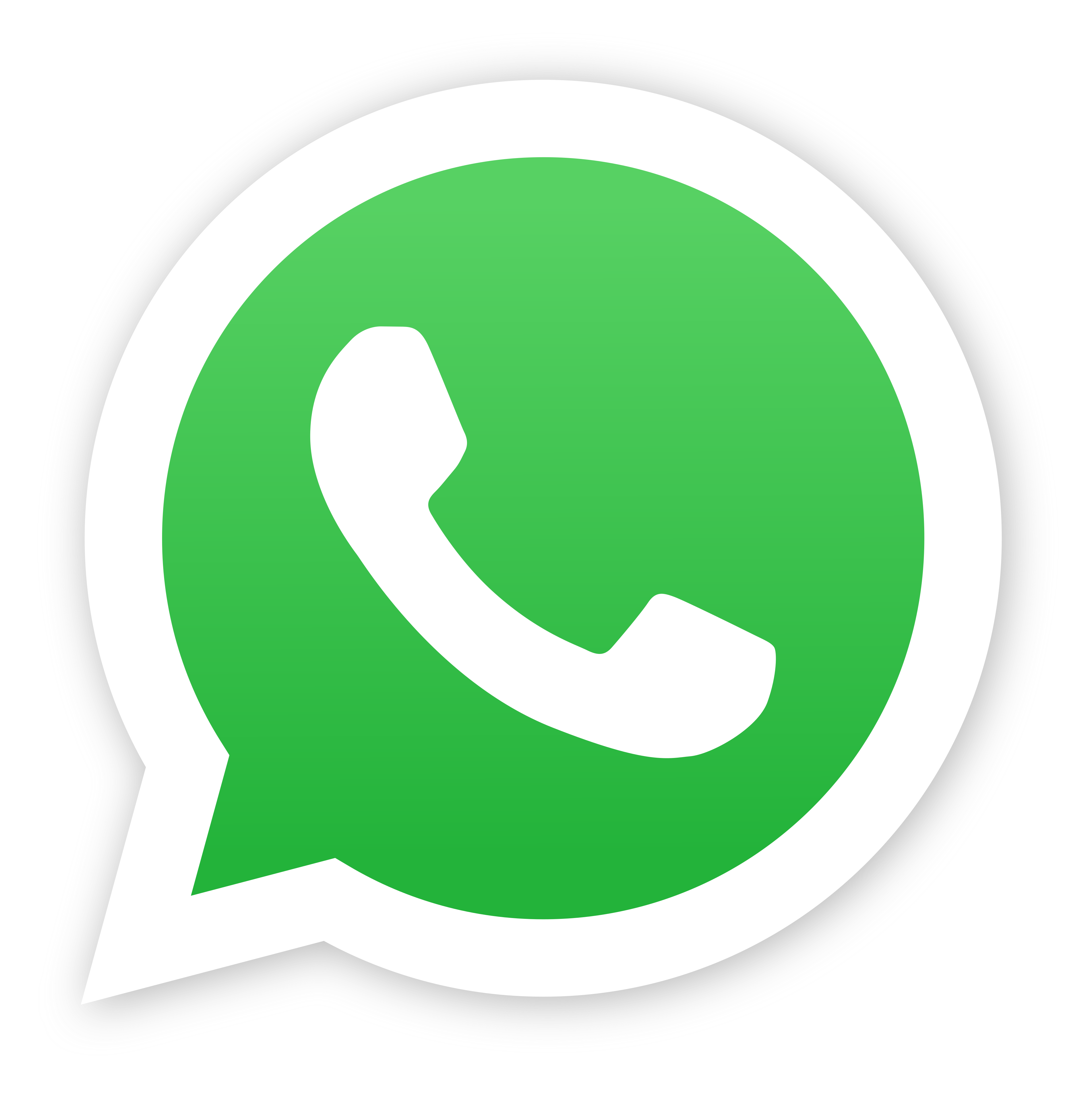 Contact Cyberwall Organization on WhatsApp